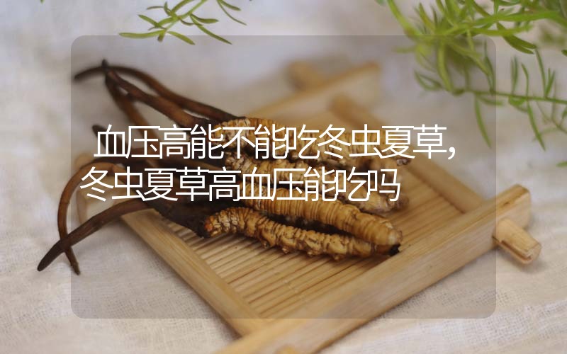 血壓高能不能吃冬蟲夏草，冬蟲夏草高血壓能吃嗎？