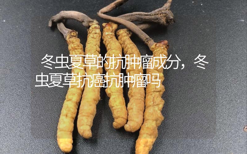 冬蟲夏草的抗腫瘤成分，冬蟲夏草抗癌抗腫瘤嗎？