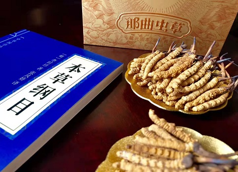 冬蟲夏草真就那么好嗎？它的主要功能是什么呀