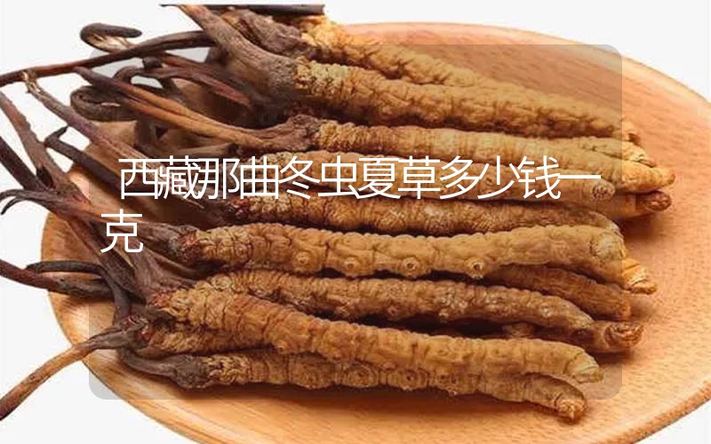 西藏那曲冬蟲夏草多少錢一克？