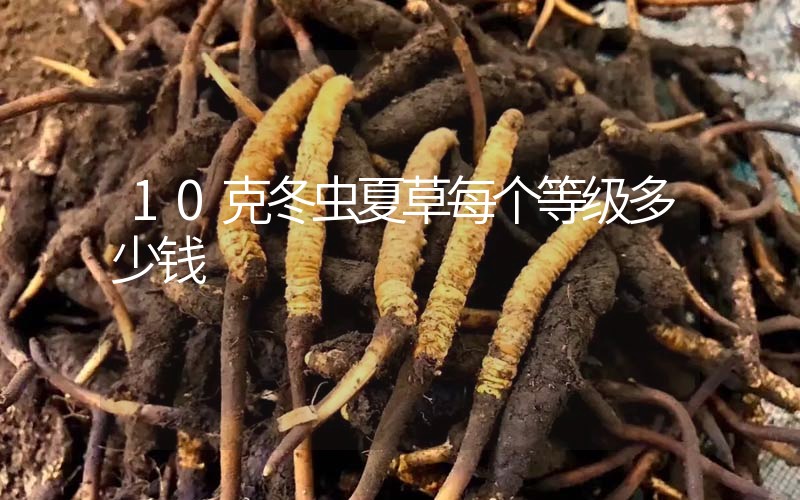 10克冬蟲夏草每個(gè)等級(jí)多少錢？