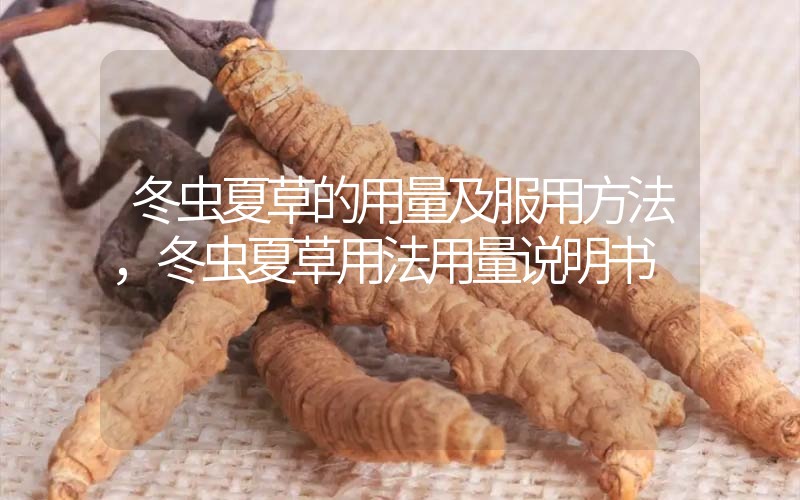 冬蟲(chóng)夏草的用量及服用方法，冬蟲(chóng)夏草用法用量