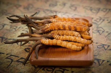 蟲(chóng)草就是冬蟲(chóng)夏草嗎？有多少人被假蟲(chóng)草忽悠