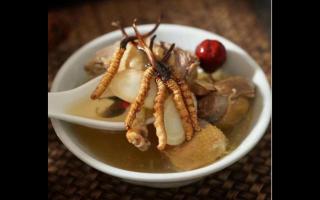 冬蟲(chóng)夏草可以和蘑菇一起吃嗎？