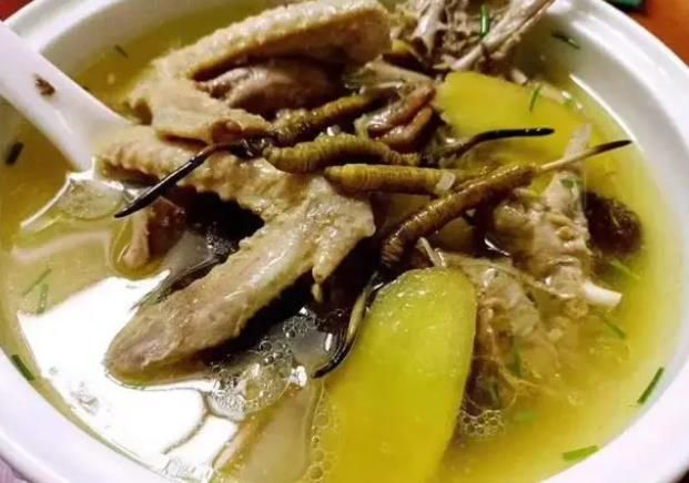 冬蟲夏草和哪些食材可以一起煲湯？