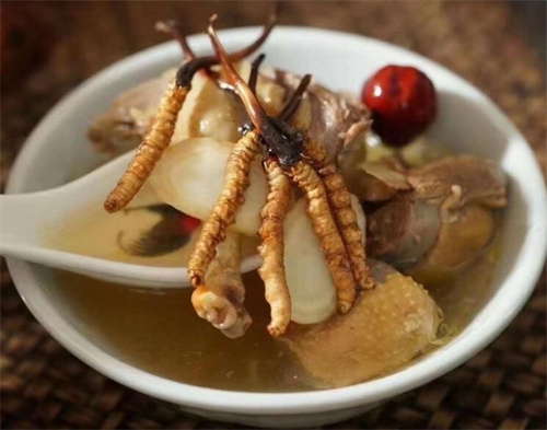 冬蟲夏草可以燉海鯽魚嗎？