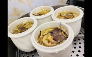 冬蟲夏草燉什么最好？5種黃金搭配讓滋補效果翻倍