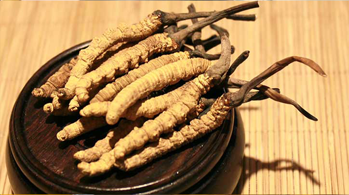 未來(lái)冬蟲夏草會(huì)漲價(jià)嗎？