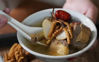 冬蟲夏草搭配有道，滋養(yǎng)肺部效果妙