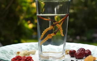 冬蟲夏草鮮品泡酒：養(yǎng)生佳釀還是健康隱患？
