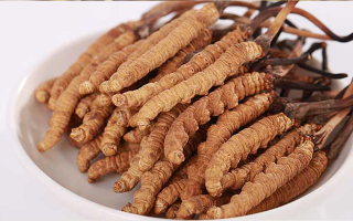 冬蟲夏草適合所有人群?jiǎn)?？一文揭?> </div>
            <div   id=