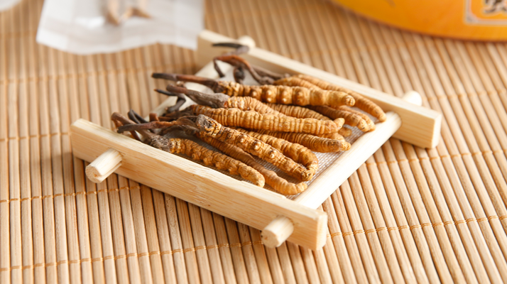 冬蟲夏草一般多少錢一斤？?jī)r(jià)格背后的價(jià)值解析