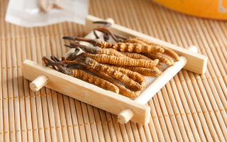冬蟲夏草一般多少錢一斤？價格背后的價值解析
