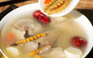 老人可以喝冬蟲夏草茶嗎？科學(xué)飲用的養(yǎng)生指南