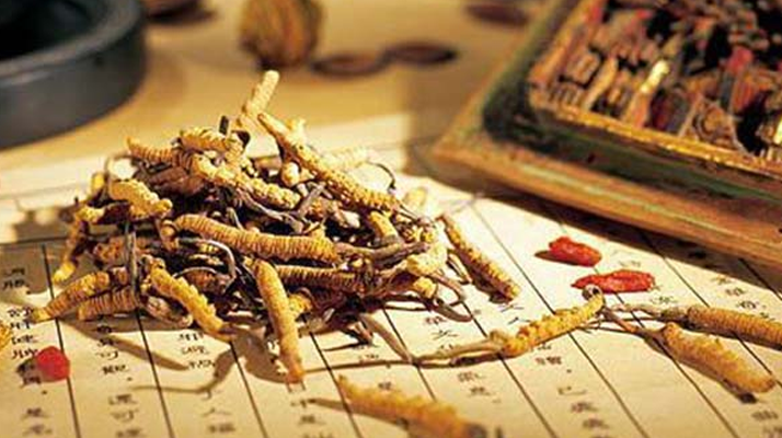 青海冬蟲(chóng)夏草：為何能成為蟲(chóng)草中的佳品